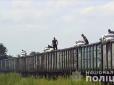 За день могли викрасти до 30 тонн вантажу: Нацполіція спіймала банду, яка грабувала товарняки на Придніпровській залізниці (фото, відео)