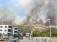 Європа у вогні, Росія радо потирає руки: Масштабні лісові пожежі охопили Чорногорію та Хорватію, довелося задіяти авіацію (відео)