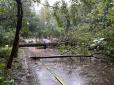 Армагедон у Москві: Тропічний ураган зривав дахи і стовпи, зносив дерева (фото, відео)
