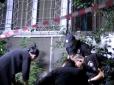Нещасна марно намагалася втриматися: У Києві чоловік скинув співмешканку із сьомого поверху (відео)