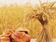 Готуйте кишені! Ціни на хліб в Україні рекордно виростуть вже восени