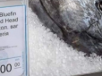 За ціною новенької іномарки: В Одесі ошелешили рекордною вартістю тушки тунця