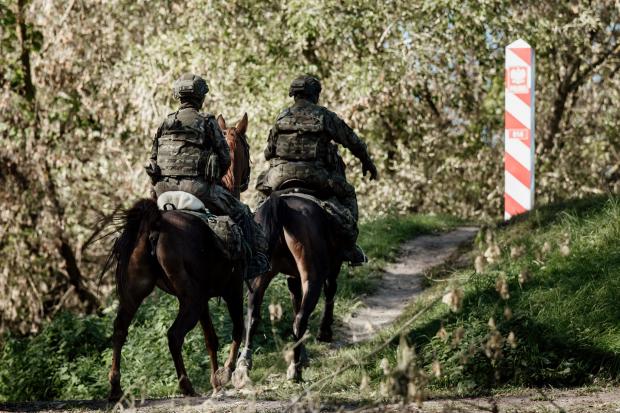 Кінні патрулі територіальної оборони Польщі охороняють кордон з Білоруссю. Кінні патрулі на кордоні з Білоруссю. Фото: ТрО Польщі