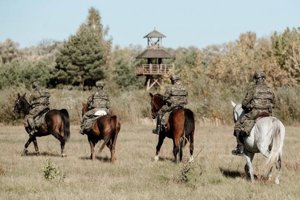Кінні патрулі на кордоні з Білоруссю. Фото: ТрО Польщі