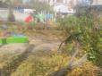 Моторошна трагедія: На Полтавщині померла дівчинка, на яку впало дерево у дитсадку