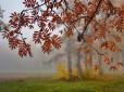 Україну накриють тумани та дощі: Синоптики оголосили штормове попередження напередодні вихідних