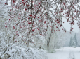 Вріжуть заморозки, завалить снігом: Українців попередили про різке похолодання