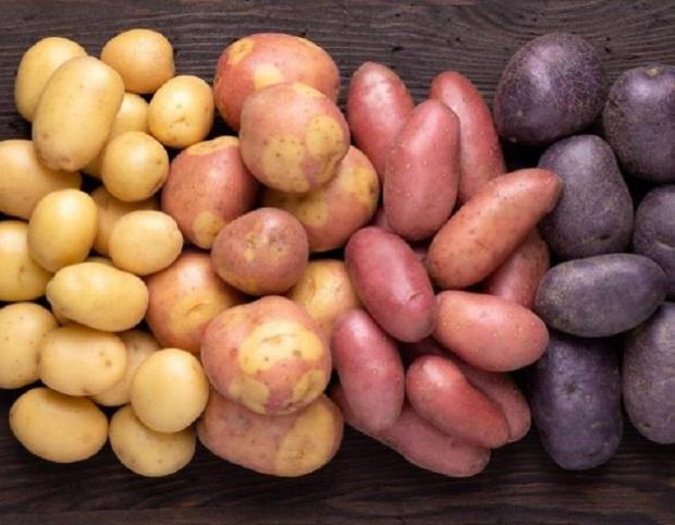 Картопля в Україні подорожчає: коли зміняться ціни на найпопулярніший овоч
