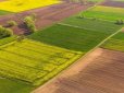 Правила купівлі землі в Україні захотіли змінити: Експерти розповіли, кому загрожує конфіскація ділянки