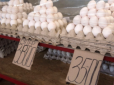 Птахофабрики закриваються, яйця продають по 45-50 гривень: Експерти пояснили чому дико зростають ціни
