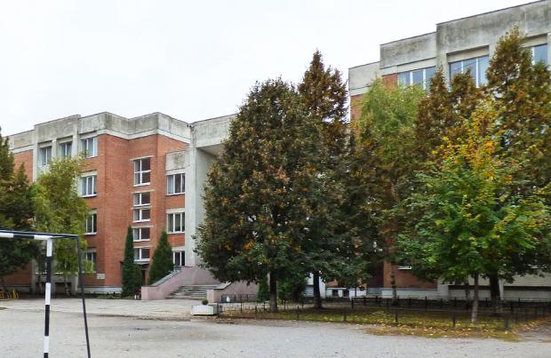 Школа № 38 на вул. Пушкіна, 74 у Полтаві. Фото: "Полтавщина".