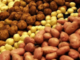 Дохазяйнувались: В Україні практично немає своєї картоплі - доводиться завозити з-за кордону