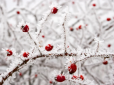 Готуйтеся! В Україну йде сніг із сильними морозами: Синоптик назвала точну дату