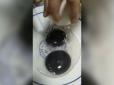Просто жах якийсь: У Китаї гуска почала нестися яйцями з чорними жовтками (відео)