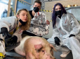 Усе заради хайпу: У Києві в тату-салоні знущалися зі свині, знімаючи це на відео - набили куполи (фото)