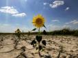 Пустеля наступатиме не фронтально з півдня на північ: Світовий банк опублікував дослідження, як глобальне потепління відобразиться на Україні
