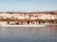 Пошкодували гроші і не пішли на оглядовий майданчик: Російські туристи провалилися під лід на озері в заповіднику (відео)