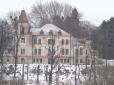 На Львівщині три родини викупили занедбаний княжий палац і відновлюють своїм коштом