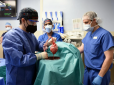Новий рівень у трансплантації? Пацієнту в США вперше в світі пересадили серце свині (фото)
