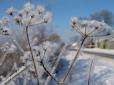 В Україні вдарять 20-градусні морози: Синоптики розповіли, де буде арктичний холод на Старий Новий рік