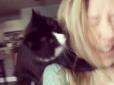 Рота закрий! Як кішка кумедно забороняє господині співати (відео)
