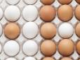 А ви це знали? Чим відрізняються білі яйця від коричневих. Розвінчуємо головний міф