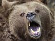 У зоопарку Ташкента жінка скинула дівчинку у вольєр до ведмедя. Лікарі роблять все можливе