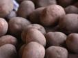 Ціни на картоплю зростуть: Українцям пояснили, чому подорожчання не уникнути