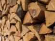 Хіти тижня. Як заощадити на дровах в опалювальний період - види деревини, що горять у рази довше