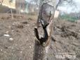 Війна на Донбасі: Впродовж доби ворог обстріляв 20 населених пунктів