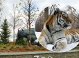 Скоро піде справжній? У США в зоопарку раптово помер тигр на прізвисько Путін