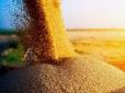 Обкрадають фермерів і вивозять зерно до Криму: У РНБО заявили про бажання Росії спричинити голод в Україні