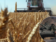 Це на собі відчує весь світ: В Україні врожай зернових скоротиться на 20% через війну