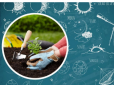 Огородникам на замітку! Місячний посівний календар на травень 2022 - найкращі дні для садово-городніх робіт