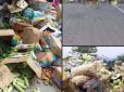 Тонни овочів викинули на ворожому блокпосту: Окупанти не пропустили вантажівки фермерів до Запоріжжя (фото, відео)