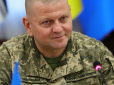 Планам ворога не збутися: П'ята частина підрозділів ЗС РФ, залучених у війну в Україні, розгромлена, - Залужний