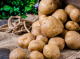 Як довго зберігати картоплю, щоб вона не проросла і не зіпсувалася: ТОП-6 способів