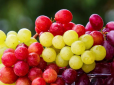 А ви це знали? Який виноград корисніший для здоров'я: червоний чи білий