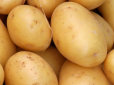 Що буде, якщо їсти картоплю щодня: ТОП-7 маловідомих фактів про 