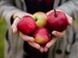 Городникам на замітку: Як виростити красиві яблука без черв’яків - ефективний та безпечний метод