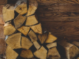 Береза, дуб чи вільха: Які дрова краще вибирати для опалення і як їх правильно зберігати