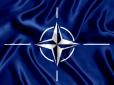 Це може бути потужна відповідь Кремлю: У Польщі не виключають, що НАТО може ввести війська в Україну
