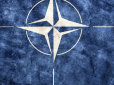 Під час війни вступ України до НАТО малоймовірний, але все може змінитися, - депутат