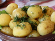 Будьте готові: Експерт розповів, чи вистачить урожаю картоплі українцям та якою буде ціна
