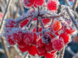 Перші заморозки та снігопади: Синоптики розповіли, коли в Україні різко похолодає ще до початку зими