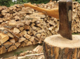 Українцям обмежили обсяг дров, який вони можуть придбати: Скільки дають 