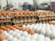 Ціни на яйця в Україні вирішили 