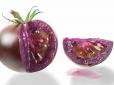 Нове слово в технологіях: У США схвалили вирощування ГМО-помідорів, які рятують від раку, діабету та недоумства