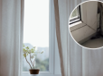 Як прибрати цвіль з вікна та підвіконня: ТОП-5 ефективних засобів, які знайдуться в кожному домі
