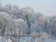 Буде морозно: Синоптики оновили прогноз погоди в Україні на 14 грудня